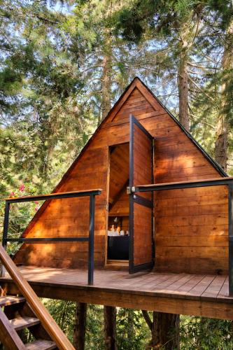a tree house with a deck in the woods at OMGHAT Glamping in El Peñol