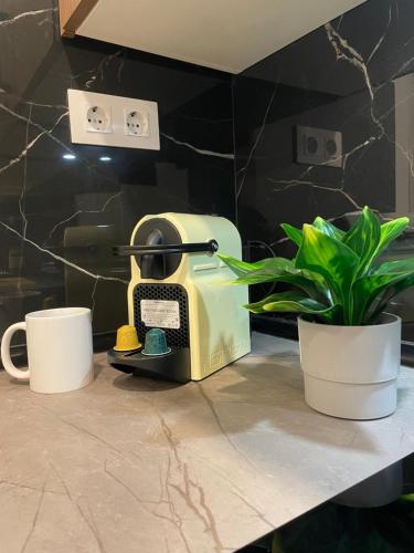 Esther Suite Home