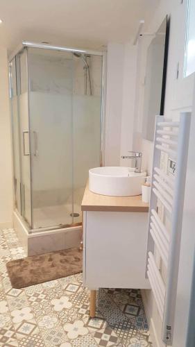 a bathroom with a sink and a glass shower at ANGEL Cozy duplex 2 chambres in Vitré