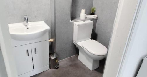 a bathroom with a white toilet and a sink at New Town Residence in Edinburgh