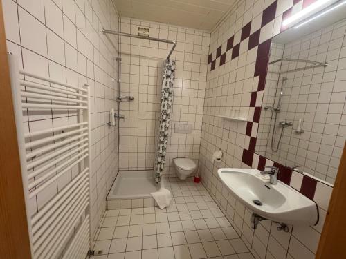 a bathroom with a sink and a shower and a toilet at Dobersbergerhof in Dobersberg