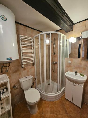 a bathroom with a shower and a toilet and a sink at Ojcówek in Grzymek