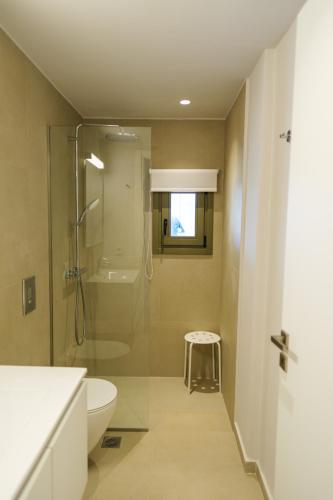 a bathroom with a glass shower and a toilet at Villa Selina 1 - Etheras Properties in Kythira