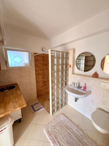 a bathroom with a sink and a shower at AGAPI Holiday House in Vouníon
