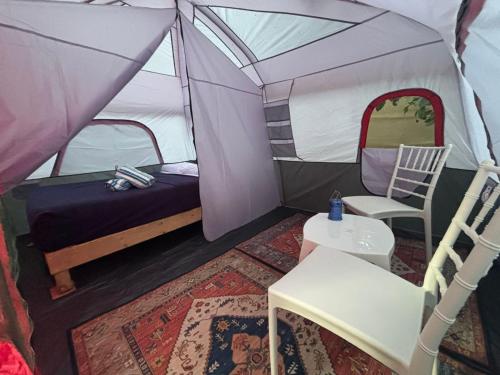 a tent with a bed and a chair in it at Bacalar Inn Hotel & Glamping Bacalar in Bacalar
