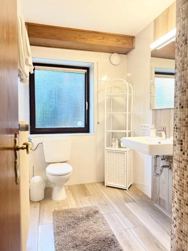 a bathroom with a toilet and a sink at Apartments Gala, ruhige Lage, stadtnah in Bad Kissingen