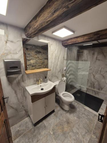 a bathroom with a toilet and a sink and a shower at Casa Verde in Cerişor