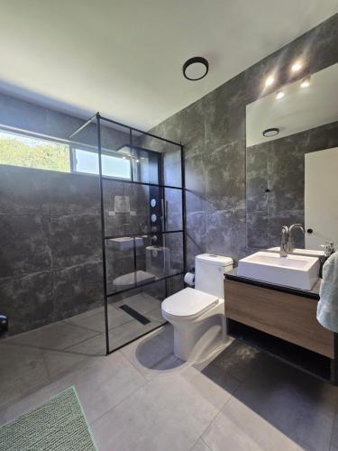 a bathroom with a toilet and a sink and a shower at Casa Río de Mozzi in Castro