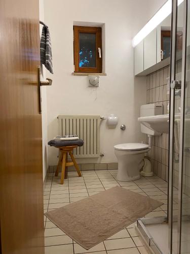 a bathroom with a toilet and a sink at Gästehaus am Main in Randersacker