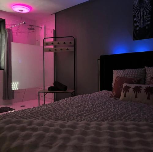 a bedroom with a bed and a purple light at Ô Saphir Spa - Maison N3 in Denain