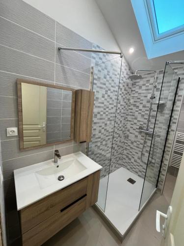 a bathroom with a sink and a shower at Le loft sous les toits in Arles