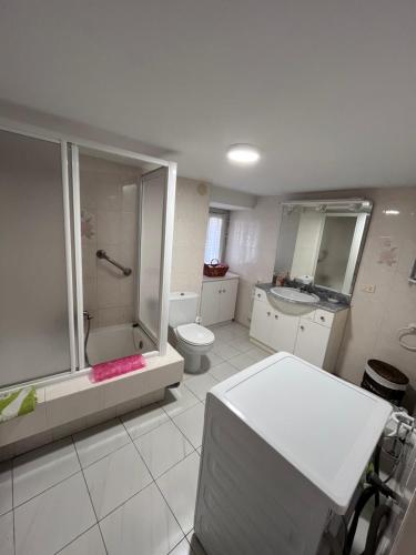 a bathroom with a shower and a toilet and a sink at A casa do teléfono in Pumares