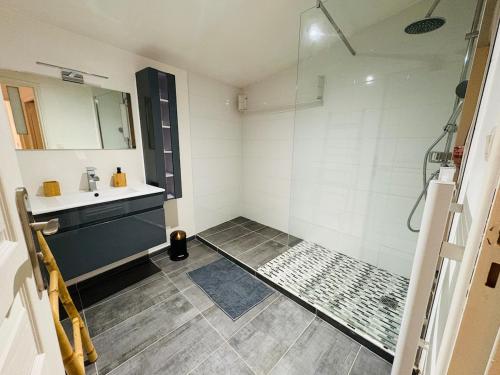 a bathroom with a sink and a shower at L'Emile Zola l 2 Chambres l Hypercentre in Castres