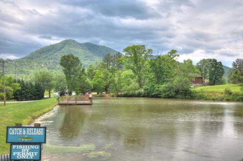 Peaceful Mtn View- Hot Tub- Fire Pit- Pets- Pond photo 16
