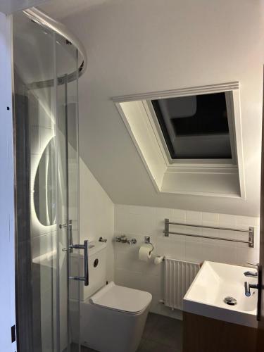 a bathroom with a toilet and a sink at Harz-Urlaub-Altenau - Hunde willkommen in Altenau