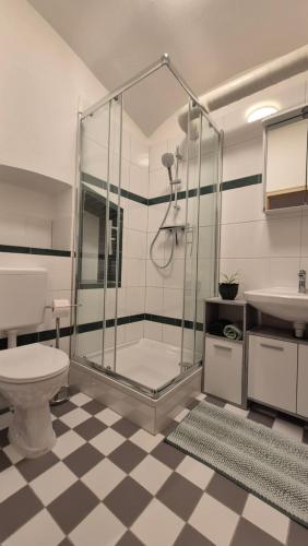 a bathroom with a shower and a toilet and a sink at Apartment Mauthen 19 in Mauthen