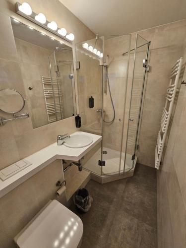 a bathroom with a shower and a sink and a toilet at Hotel Friedensbruecke in Greiz