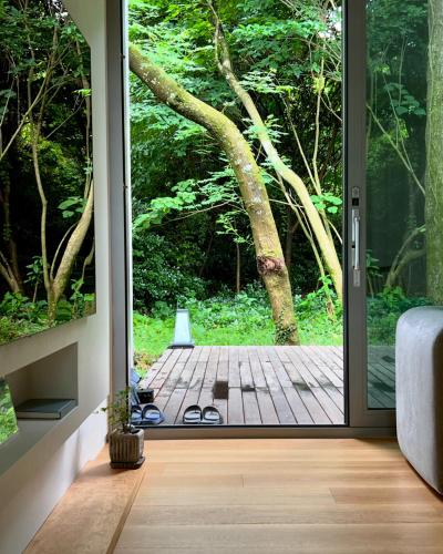Mokha forest house
