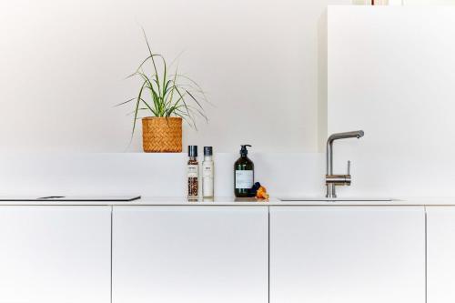 a kitchen counter with a sink and a plant at Netzschuppen 2 in Kappeln