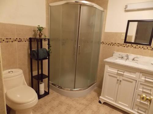 a bathroom with a shower and a toilet and a sink at La Sierra Departamento 1 in Ciudad Juarez