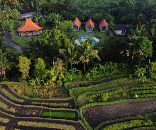 an aerial view of a rice field in front of houses at Graha Ayoe Resort in Sidemen