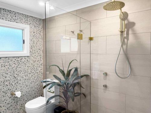 a bathroom with a shower with a toilet and a plant at The Winegrower's Cottage in Broke