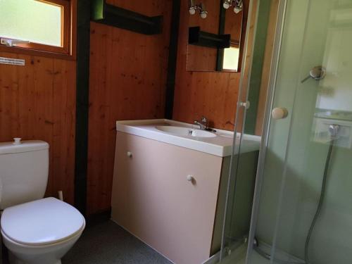 a bathroom with a toilet and a sink and a shower at Chalet avec terrasse - 6 pers. - API-1-52-2030 in La Tour-dʼAuvergne