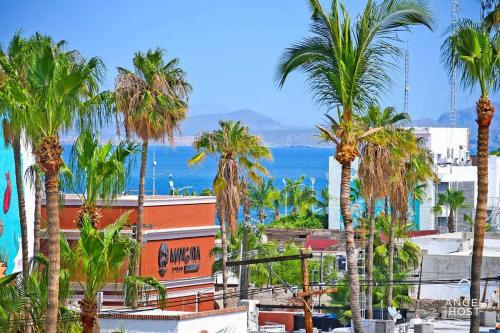a group of palm trees in front of the ocean at Beachside Bliss Suite 1 Block from Malecon in La Paz