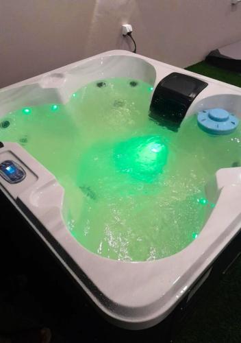 a bath tub filled with green water with a duck in it at Island Accommodation Suva Premier Hospitality in Suva