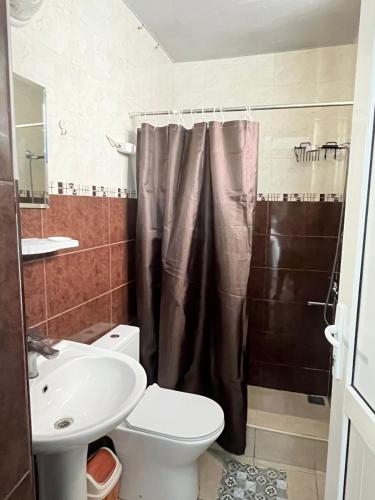 a bathroom with a toilet and a sink at Marina Apartments in Gudauri