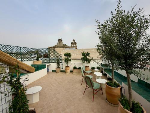 Alameda Grand Luxury