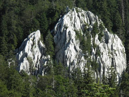 a large rocky mountain with trees in front of it at Apartment Doris Mrkopalj in Mrkopalj
