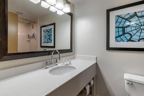 a bathroom with a sink and a mirror at Quality Inn Lexington -Horse Park in Lexington
