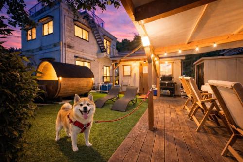 a dog on a leash on a lawn in front of a house at イヌサウナリゾート伊豆白浜 愛犬と焚火とバレルサウナの暖かいヴィラ in Shimoda