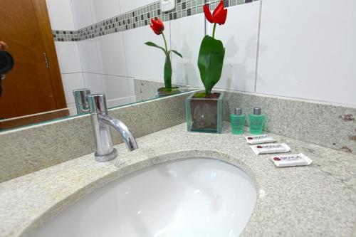 a bathroom sink with two red roses in a vase at Skala Traveling Hotel in Cuiabá