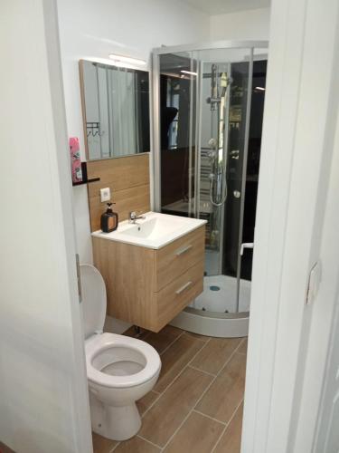 a bathroom with a toilet and a sink and a shower at EVASION LOUE #6 x2 people "La BRIQUERIE" in Lods