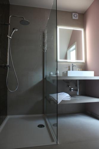 a bathroom with a shower and a sink at ZevenVrijeDagen in Ghent