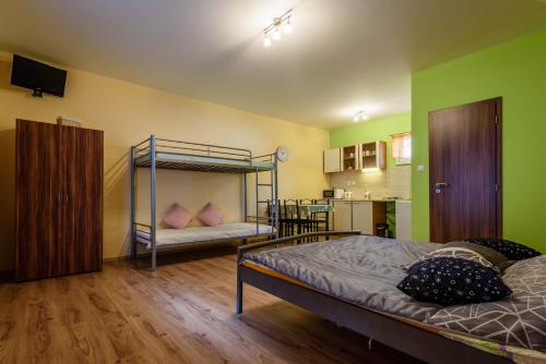 een slaapkamer met 2 stapelbedden en groene muren bij Ubytovanie Bonita in Štúrovo