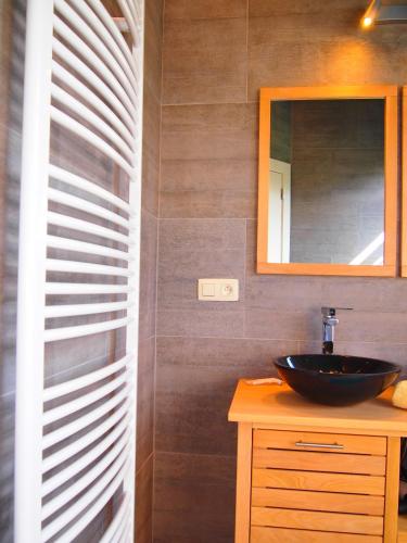 a bathroom with a sink and a mirror at Archipel Holiday Cottage in Ellezelles