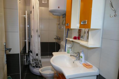 a bathroom with a sink and a shower and a toilet at Vlašić House in Vlasic