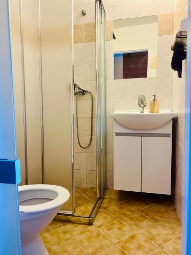 a bathroom with a shower and a toilet and a sink at pension U Jiřího in Ludvíkov