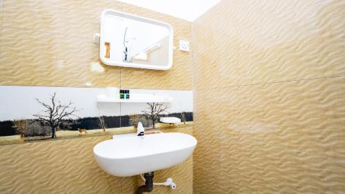 a bathroom with a sink and a mirror on the wall at OKI Nature Resort in Dambulla