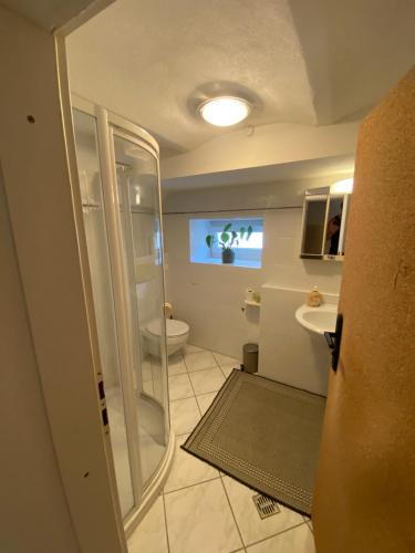 a bathroom with a shower and a toilet and a television at Souterrainwohnung mit Badesteg an der Paar in Friedberg