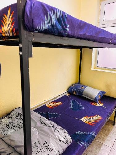 Llit o llits en una habitació de Wishwell hostel