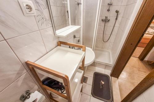 a small bathroom with a toilet and a sink at Apartma Horvat in Bohinj