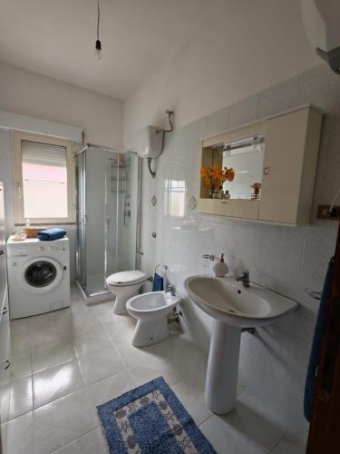 a bathroom with a sink and a toilet and a washing machine at Su Muscadeddu in Tertenìa