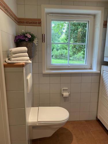 a bathroom with a toilet and a window at Heidenest in Soltau