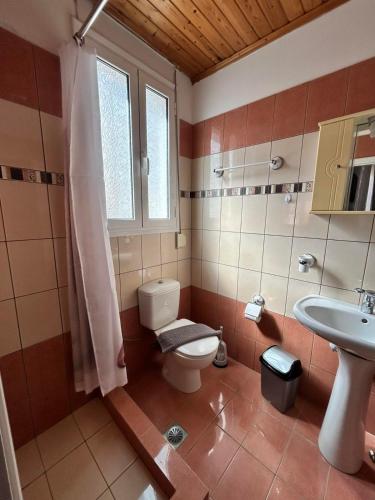 a bathroom with a toilet and a sink at Palmyra Beachfront Studios in Nydri