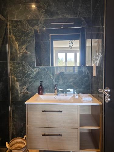 a bathroom with a sink and a mirror at L'aulne in Carhaix-Plouguer