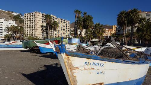 Φυσικό τοπίο κοντά σε αυτό το διαμέρισμα